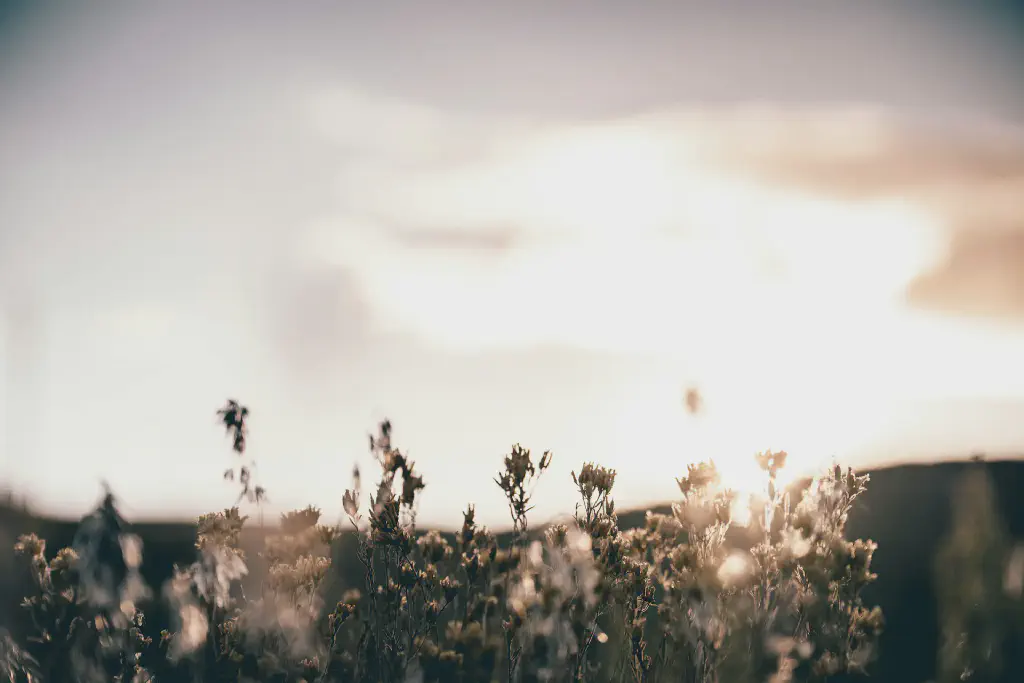 Галоўная выява падзеі: jonathan-knepper-lf7momyq3pc-unsplash.jpg